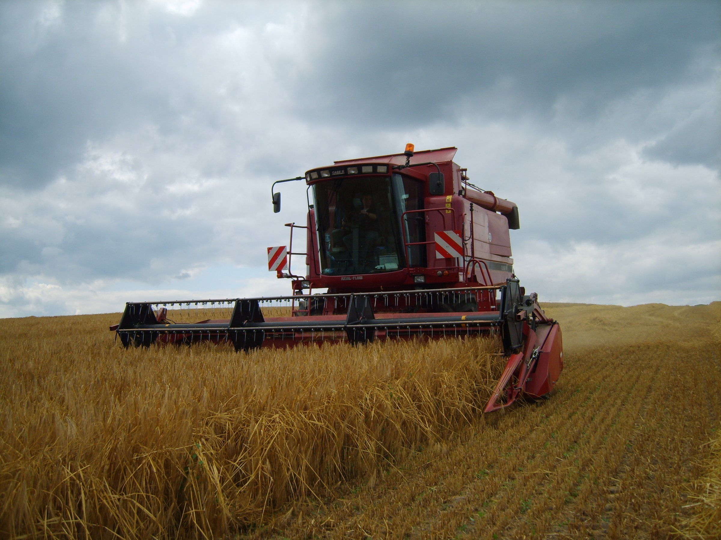 Mähdrescher bei der Getreideernte auf einem Feld der AGRAR eG